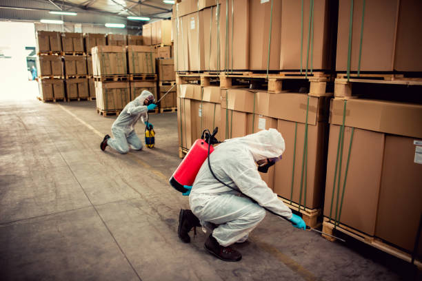 Best Mosquito Control Services  in Glouster, OH