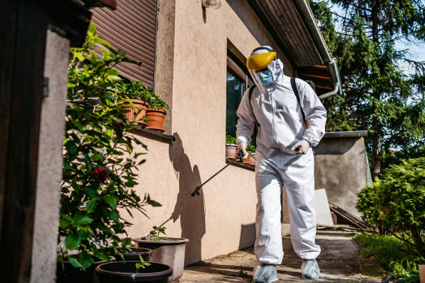 Best Best Pest Control Companies  in Glouster, OH