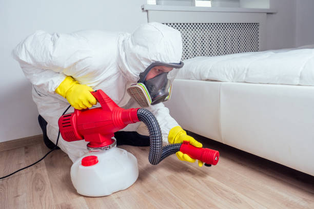 Best Flea Control Services  in Glouster, OH