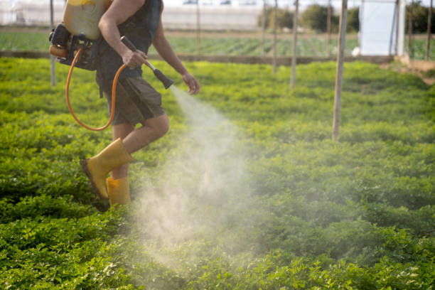 Reliable Glouster, OH Pest Control Solutions