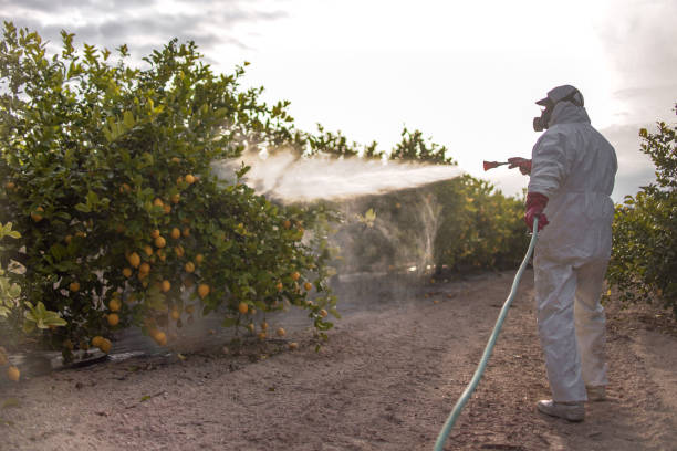 Best Commercial Pest Control Services  in Glouster, OH