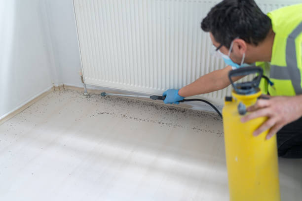 Best Wasp Removal Services  in Glouster, OH